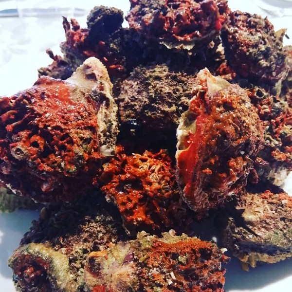 BOBENA_agria_streidia_apo_tin_Andro