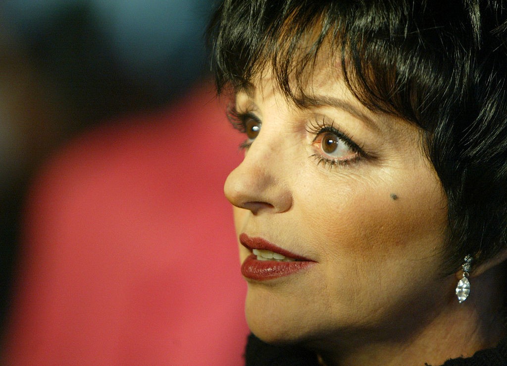 LOS ANGELES - APRIL 4: Singer Liza Minnelli appears at Warner Home Video's 60th anniversary DVD release reception and screening of "Meet Me in St. Louis" at the Directors Guild on April 4, 2004 in Los Angeles, California. (Photo by Kevin Winter/Getty Images)