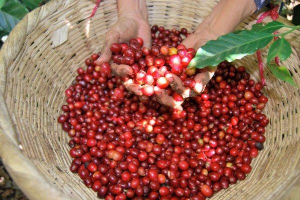 457419_10150647247993397_874107230_o