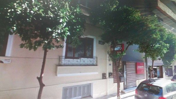 Οι νεραντζιές όπως ήταν πριν το κλάδεμα. Ανθισμένες και φουντωτές