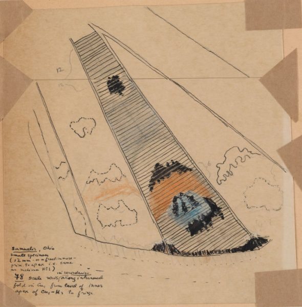 10_Nabokov_ColorPlate48-690