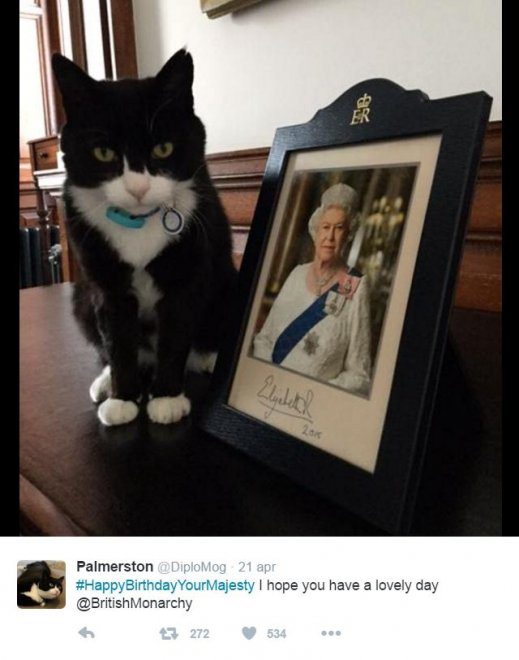 171837419-48c35c3f-9612-4cbf-99b8-d25c9b1315d2