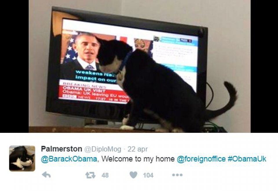 171837481-cb095488-7b59-4f85-943b-f742e42b7715