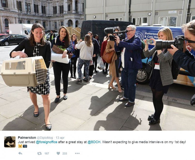 171838307-a78021aa-2503-4f7f-ab72-200f6852fa3a