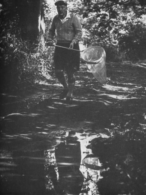 557927_10152760430365534_721745498_n