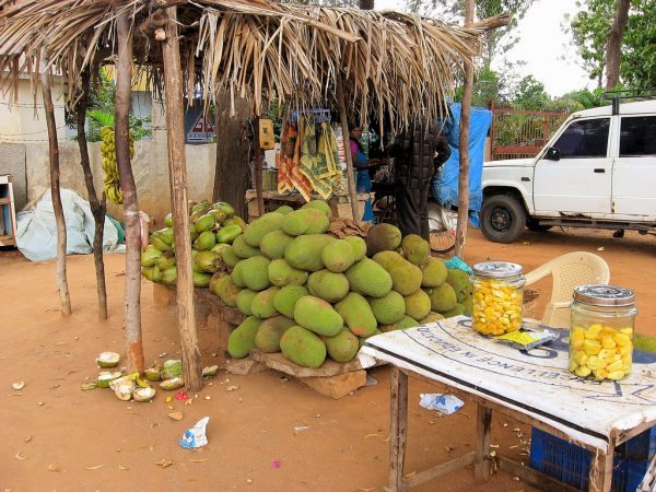 8381635950_d738789605_b