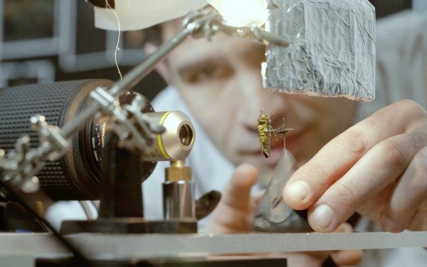 fstoppers-kenn-tam-microsculpture-insect-photography-levon-biss-set-up