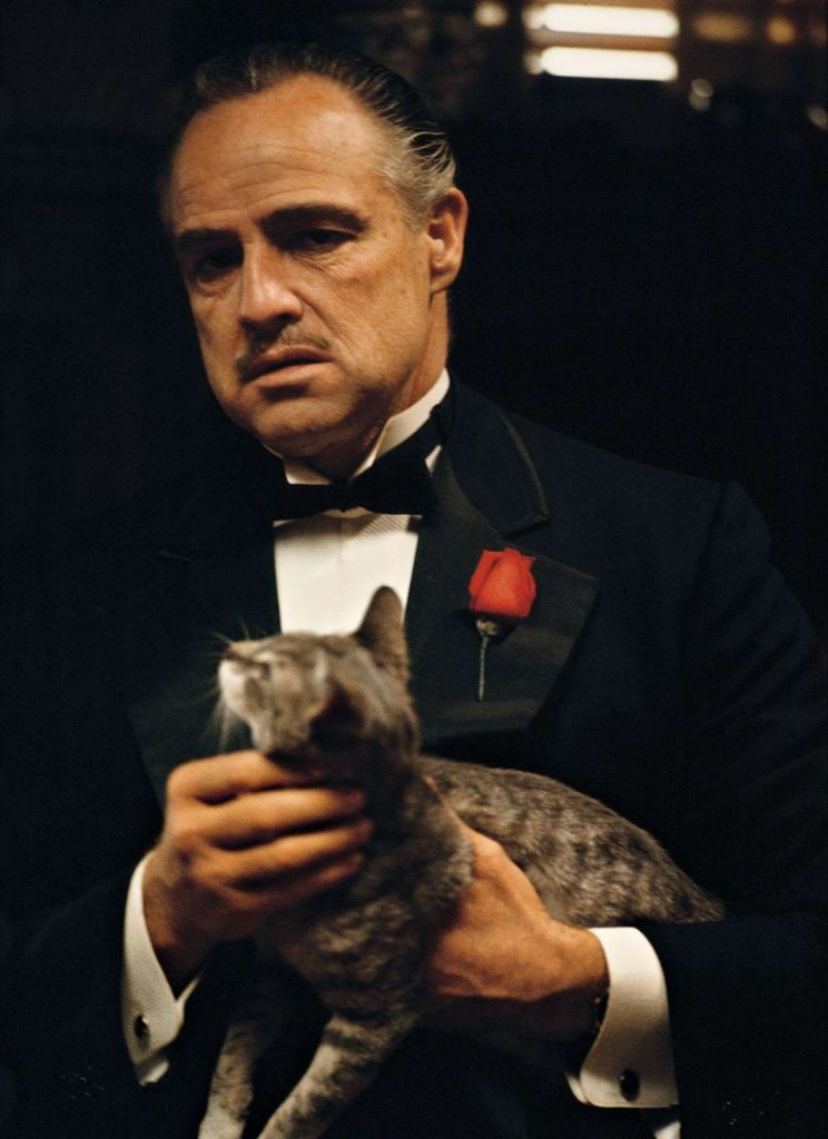 01_schapiro_godfather_ce_image005_01053_1502091638_id_890504