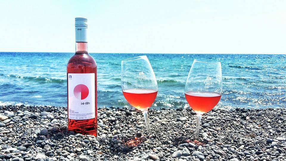 13240565_838411269598605_666713293417092060_n