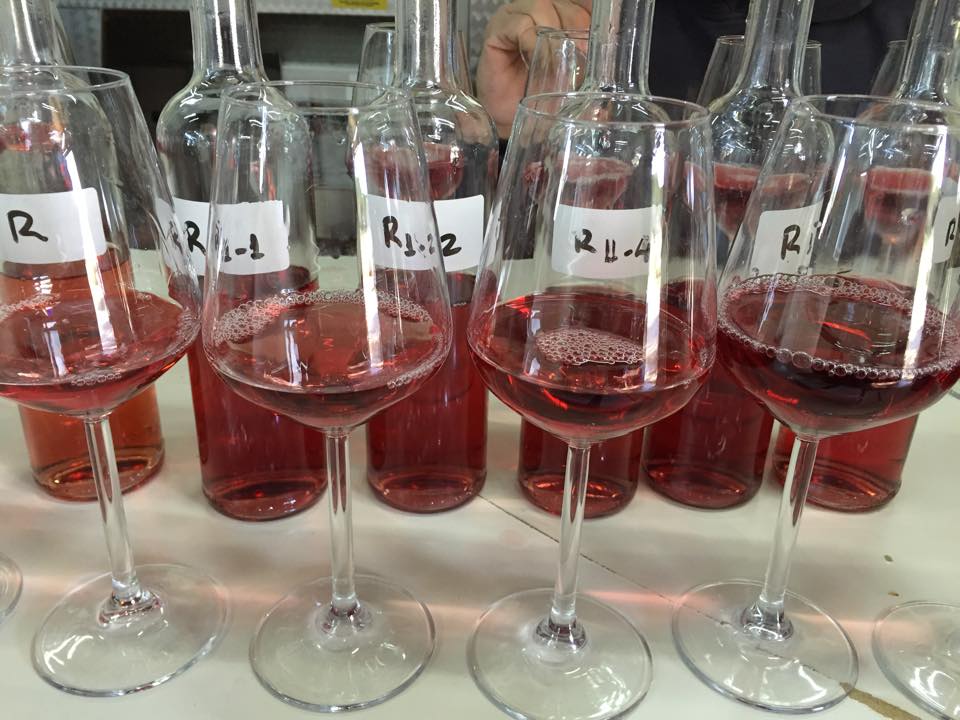 18621_10152793416381701_6258009861932652977_n