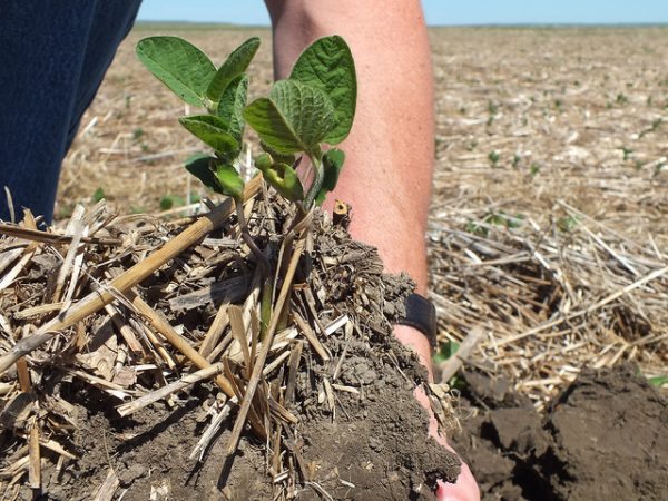 7166235513_bd2de66c42_z