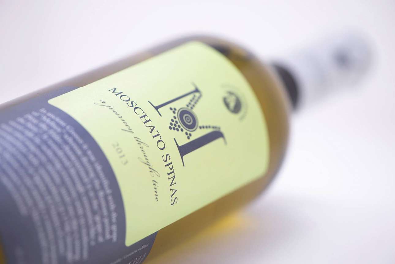 11333995_571659369603379_6144384376770742736_o