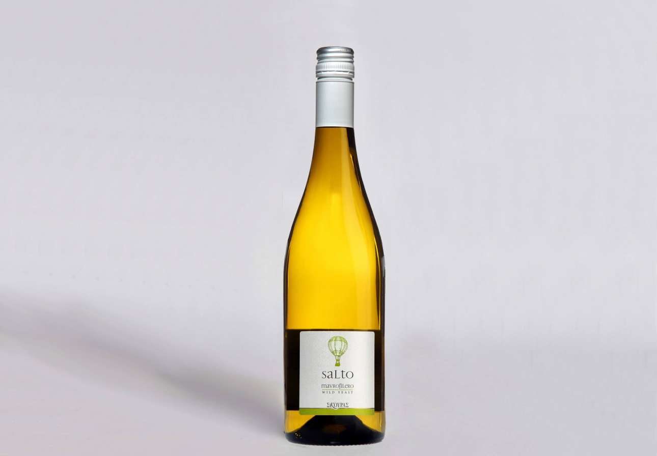 13147339_591602084339017_2660272265105553143_o