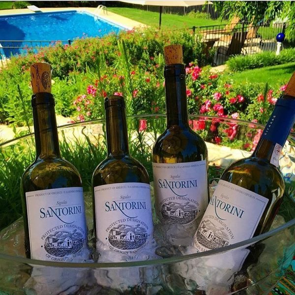 13438846_1369406223074957_6753236286095946807_n (1)