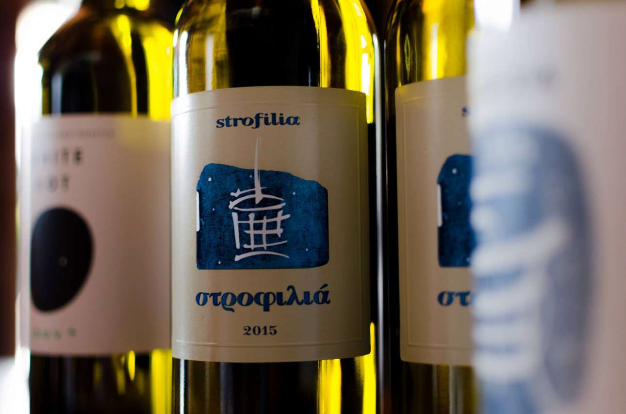 13497921_1142573769098522_4886732066432177006_o