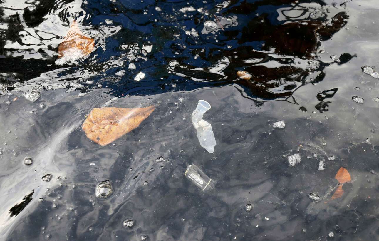 2016-07-29T224525Z_1795372120_RIOEC7T1R6G2A_RTRMADP_3_OLYMPICS-RIO-GUANABARA-BAY