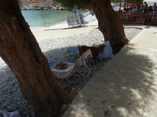 233189_143e3aca8b630a04c1987a77fea734d5