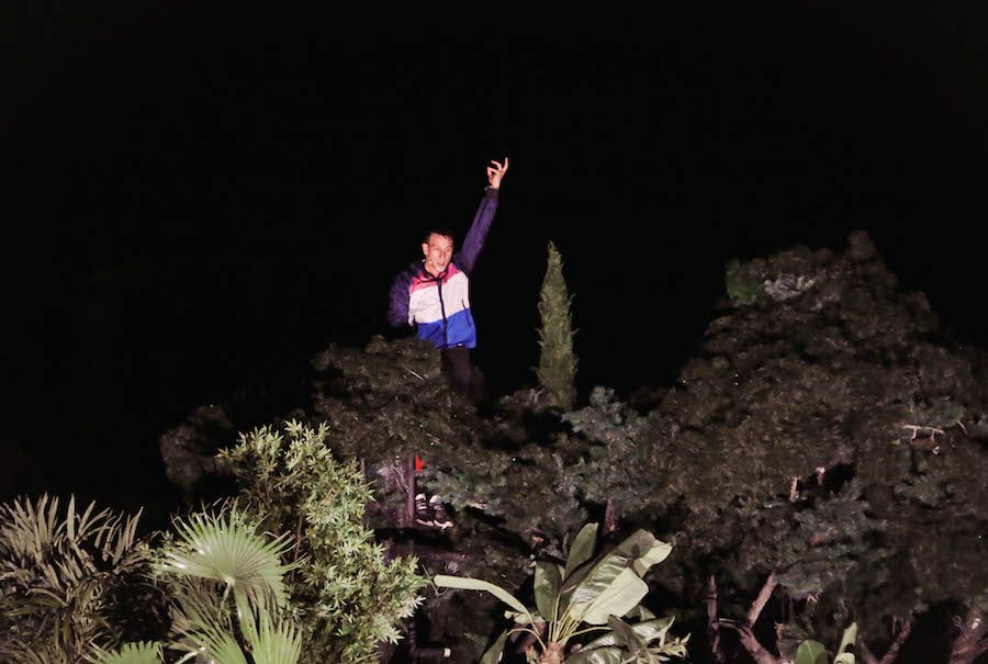 Ornithes_@Kiki Papadopoulou_IMG_6434b