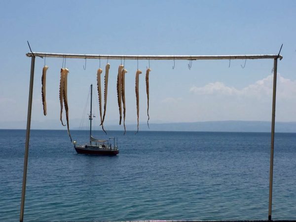 Χταπόδια στεγνώνουν στον αέρα έξω από τα μεζεδοπωλεία στην παραλία της Λίμνης