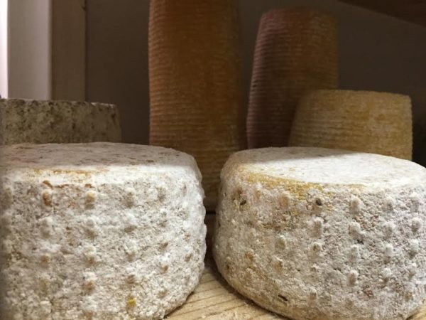 katsikisia_Zozefinos