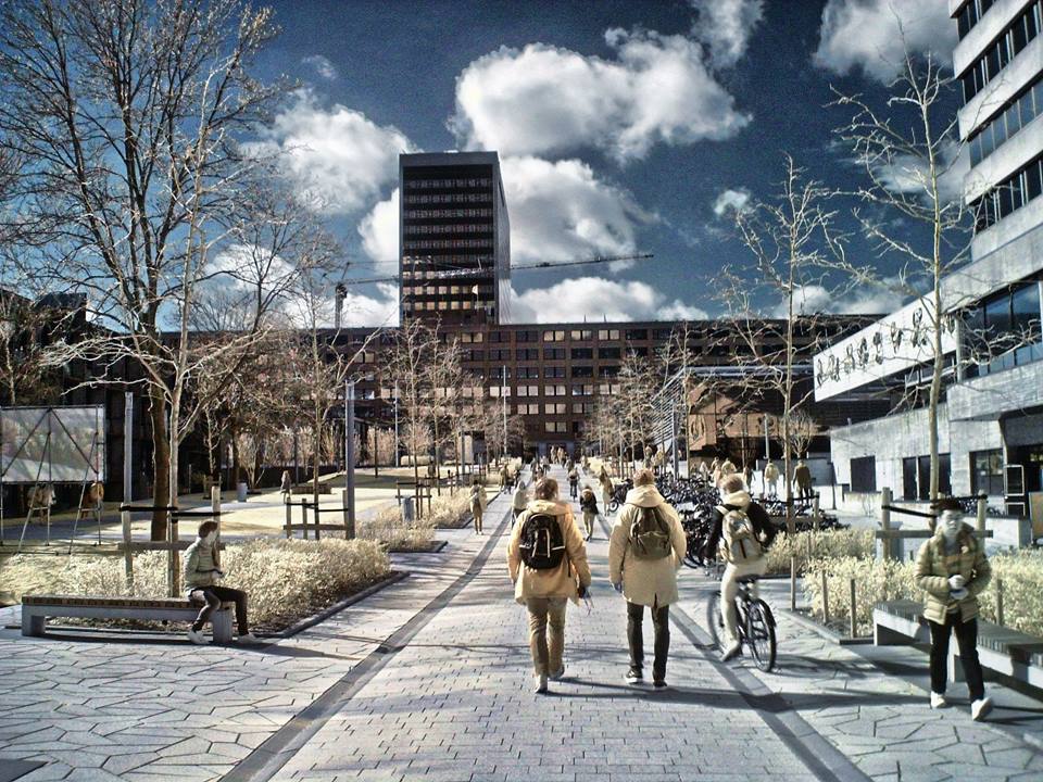 13012809_1123095627712326_577861563238144638_n