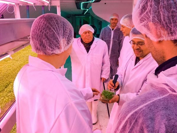 Agro_underground_Roux_1