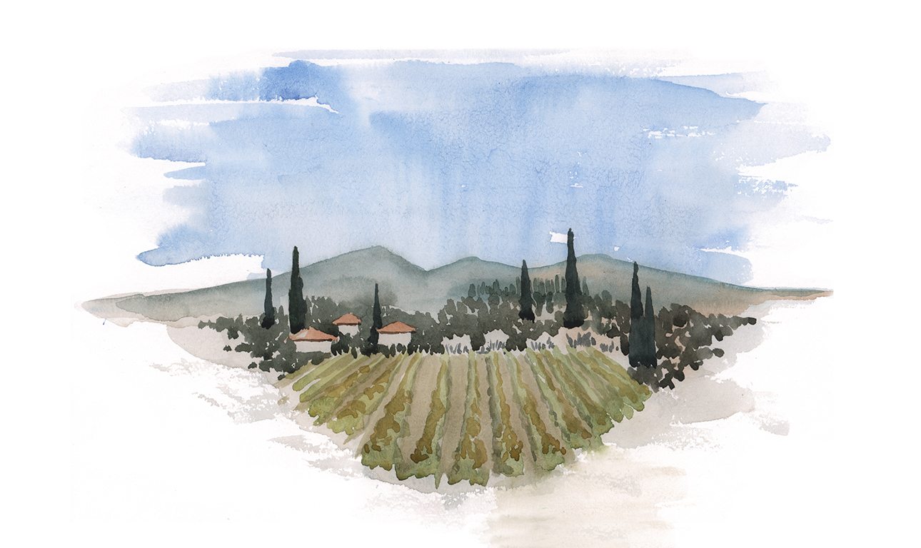 shutt_385683061-1290