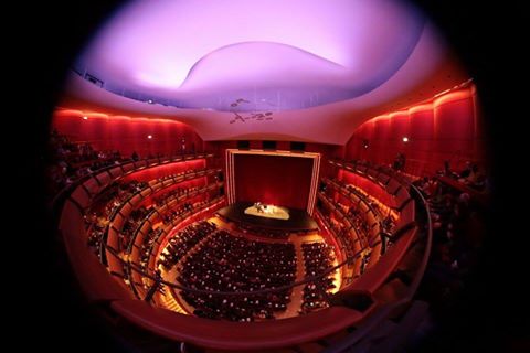 15747495_1209450195757728_1350036630802547135_n