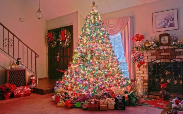 magnifiscent-christmas-tree-holiday-hd-wallpaper-1920x1200-5628