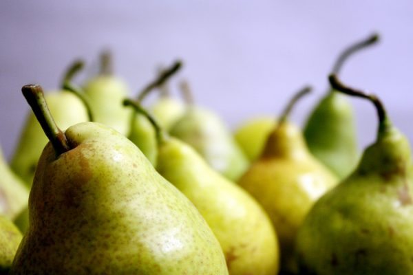 4933922984_342ff86f73_b