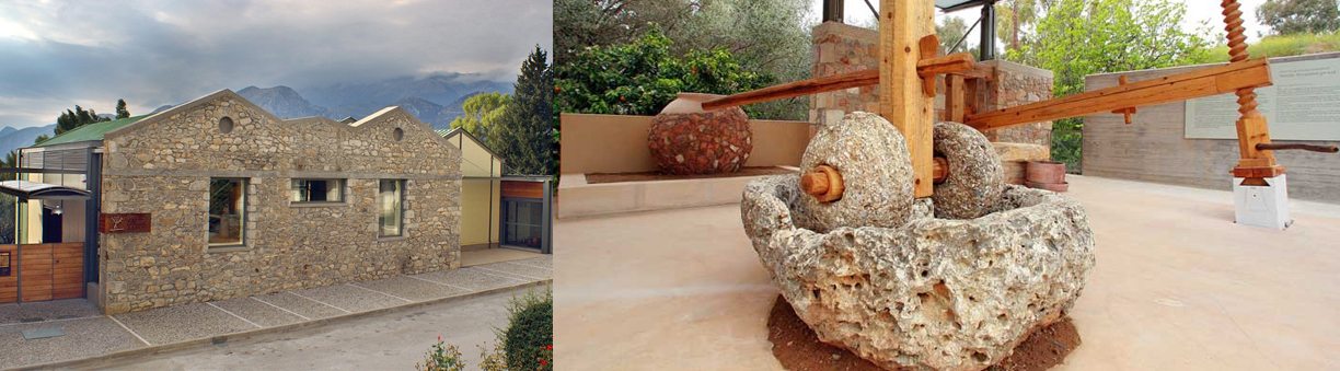 Το Μουσείο Ελιάς και Ελληνικού Λαδιού, στη Σπάρτη