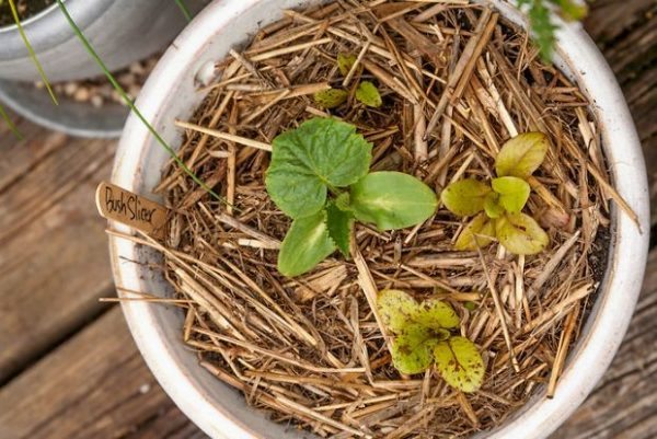 container-lb0907-1981-thumb-large-thumb-large