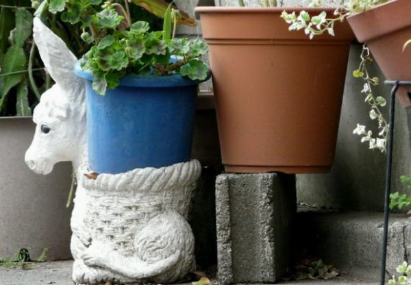 pots-thumb-large-thumb-large