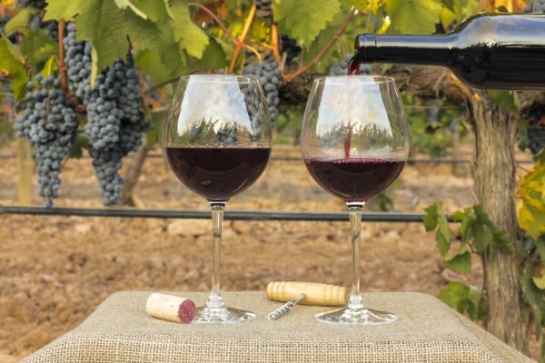 shutterstock_511492006