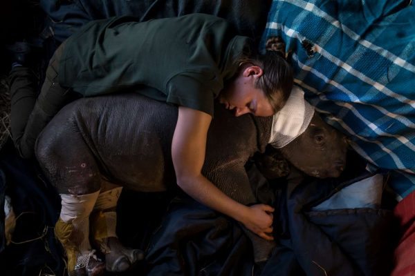 2017-02-13T113320Z_744315022_RC1EC870EE90_RTRMADP_3_PHOTOGRAPHY-PRIZE