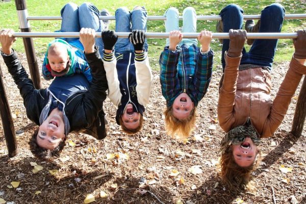 14589782_1737044333215174_6030479641688028611_o