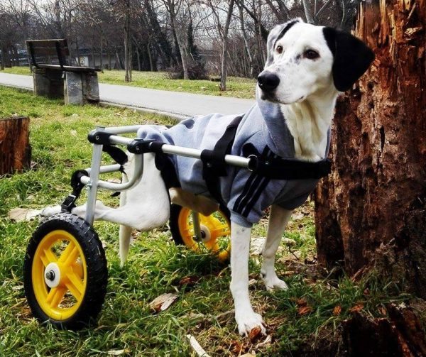 17203613_10154585087032695_350841162_n