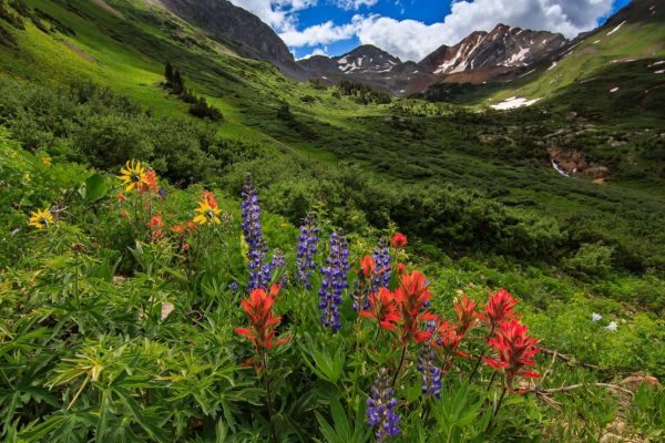Crested_Butte_CO_FB_Randy_Van_Winkle