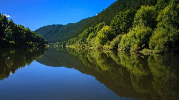Whanganui River