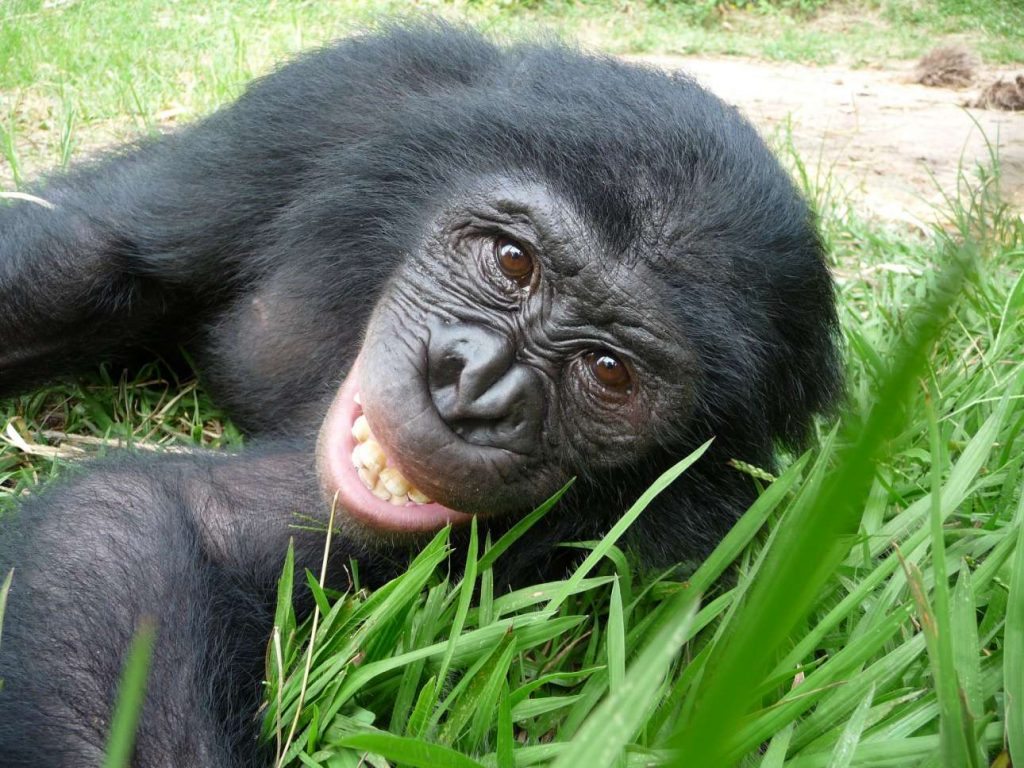 266486_132847410131462_2642609_o