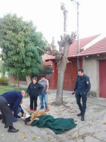 18519840_1670317073277554_1624172530608602537_n