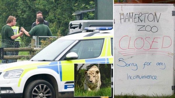 DBAZvHHW0AA6NuA.jpg large