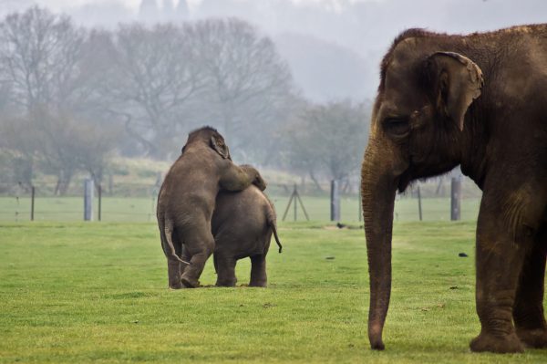 5565487408_3ce1bcb25a_b