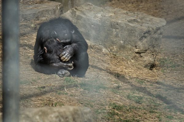 8508383620_34a89cd23b_z (1)