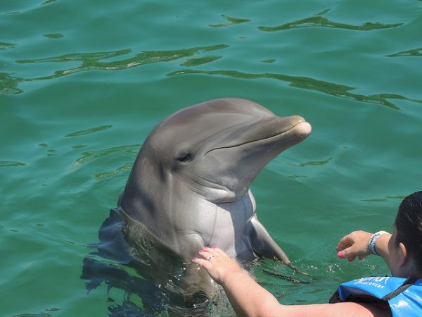 8985062220_a98e223551_z