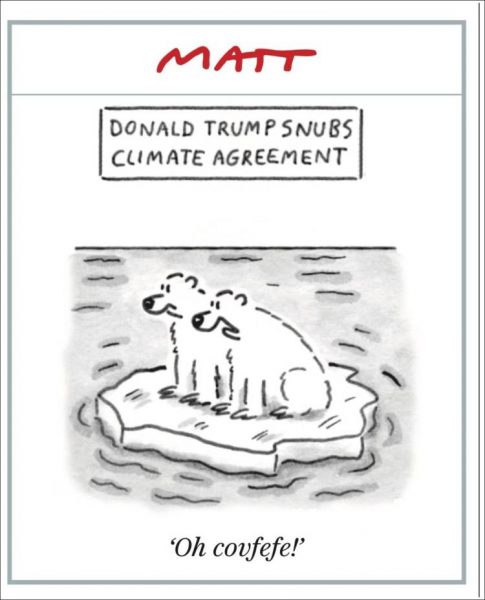 daily_telegraph_matt