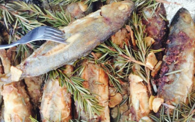 _savoro_gopes_aromalefkadas-640-400