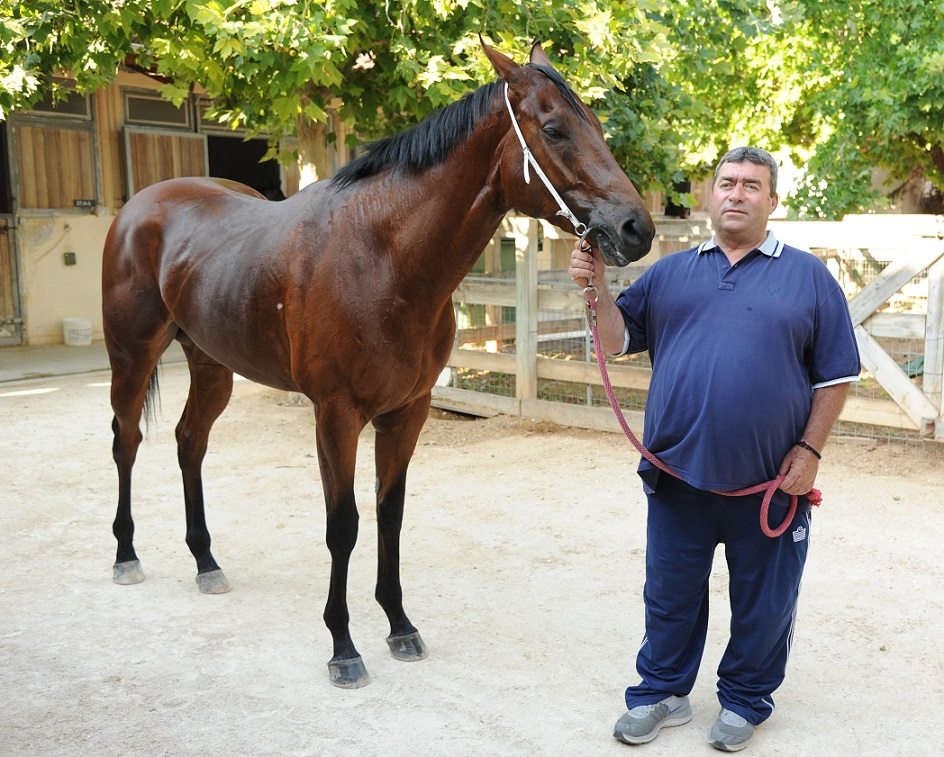 ΑΓΓΕΛΟΣ - Π. ΘΕΟΛΟΓΟΥ