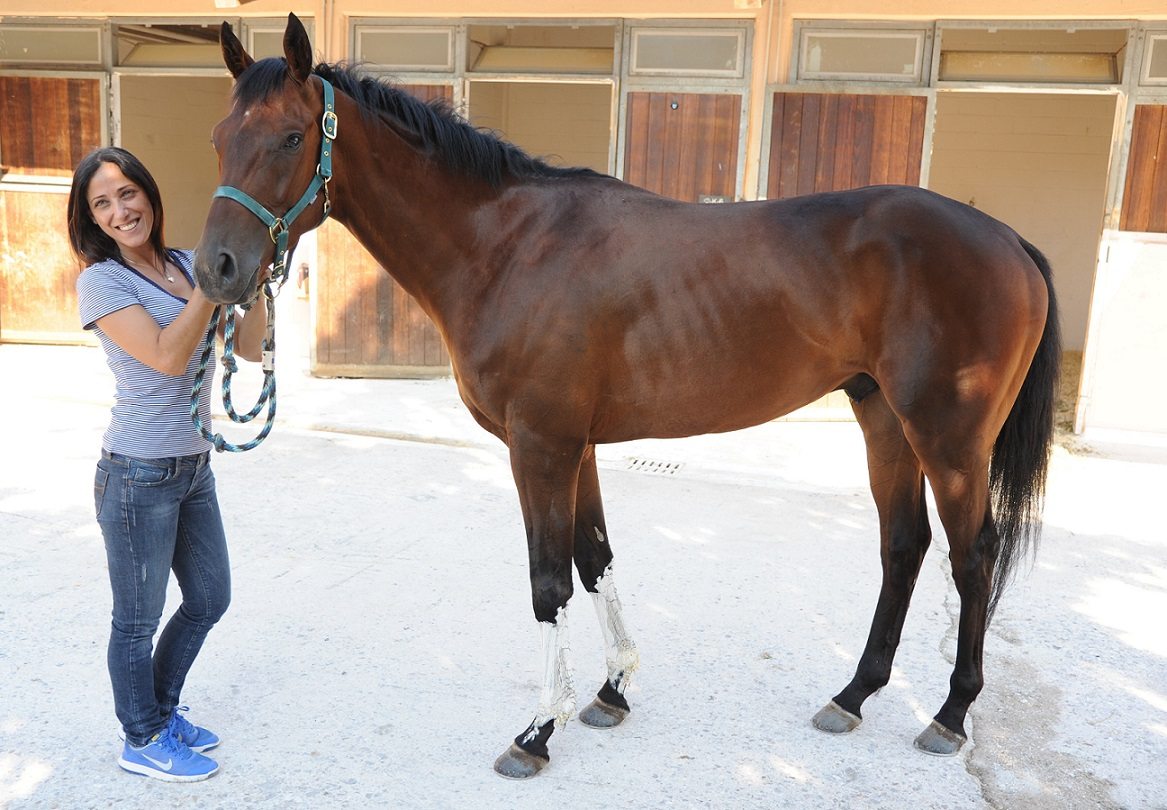 ΜΟΜΟΥΡ -ΑΛ. ΚΑΒΡΟΥΛΑΚΗ