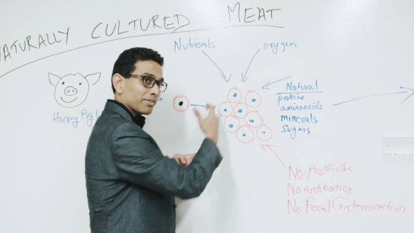 MemphisMeats-1024x576